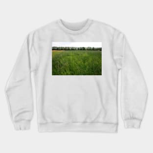 Monet's Meadow. Campogalliano, Italy 2011 Crewneck Sweatshirt